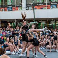 Hit refresh if image not shown