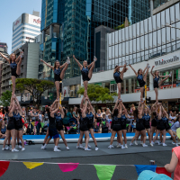 Hit refresh if image not shown