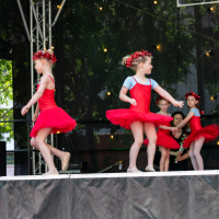 Hit refresh if image not shown