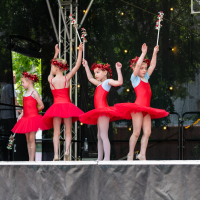 Hit refresh if image not shown