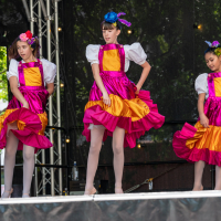 Hit refresh if image not shown