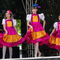 Hit refresh if image not shown