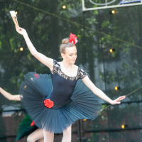 Hit refresh if image not shown