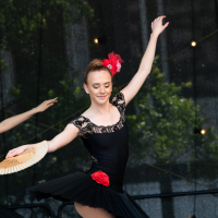 Hit refresh if image not shown