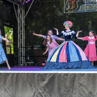 Hit refresh if image not shown