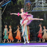 Hit refresh if image not shown