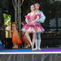 Hit refresh if image not shown