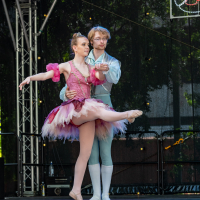 Hit refresh if image not shown