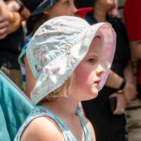 Hit refresh if image not shown