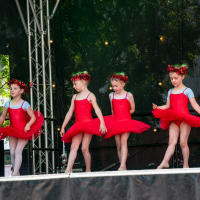 Hit refresh if image not shown