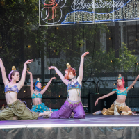 Hit refresh if image not shown