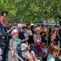 Hit refresh if image not shown