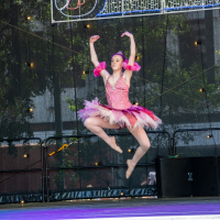 Hit refresh if image not shown