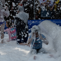 Hit refresh if image not shown