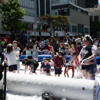 Hit refresh if image not shown