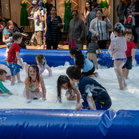 Hit refresh if image not shown