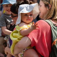 Hit refresh if image not shown