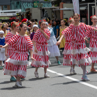 Hit refresh if image not shown