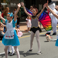 Hit refresh if image not shown