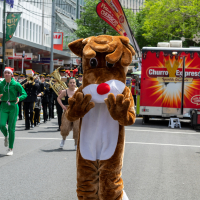 Hit refresh if image not shown