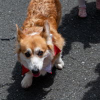 Hit refresh if image not shown