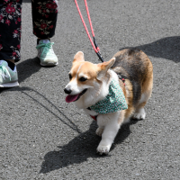 Hit refresh if image not shown