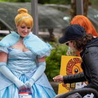 Hit refresh if image not shown