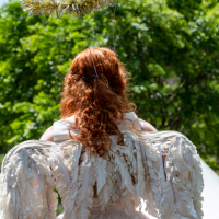 Hit refresh if image not shown