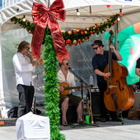 Hit refresh if image not shown