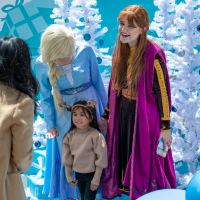 Hit refresh if image not shown