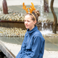 Hit refresh if image not shown