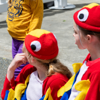 Hit refresh if image not shown