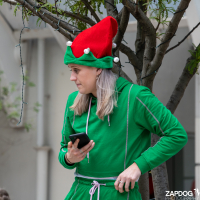 Hit refresh if image not shown