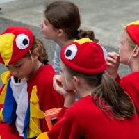 Hit refresh if image not shown