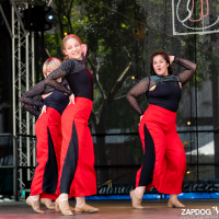 Hit refresh if image not shown