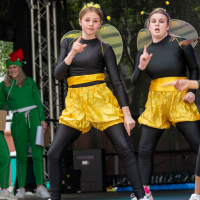 Hit refresh if image not shown