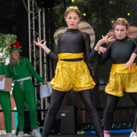 Hit refresh if image not shown