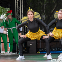 Hit refresh if image not shown