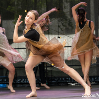 Hit refresh if image not shown