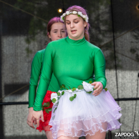 Hit refresh if image not shown