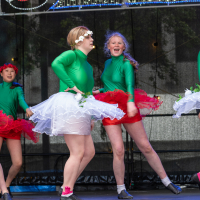 Hit refresh if image not shown