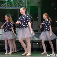 Hit refresh if image not shown