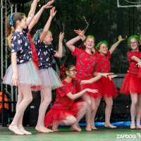 Hit refresh if image not shown