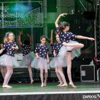 Hit refresh if image not shown