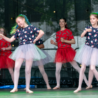 Hit refresh if image not shown