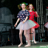 Hit refresh if image not shown