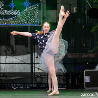 Hit refresh if image not shown