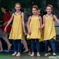 Hit refresh if image not shown