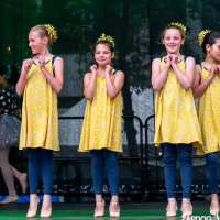 Hit refresh if image not shown