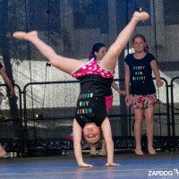 Hit refresh if image not shown